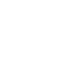 Alternative Payments logo