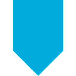 Arcserve logo