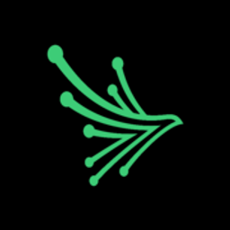 Black Kite logo