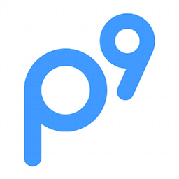 Panorama9 logo