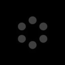 Syringa Networks logo